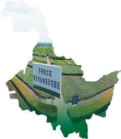 打造健康食品之都 黑龙江推互联网 农业